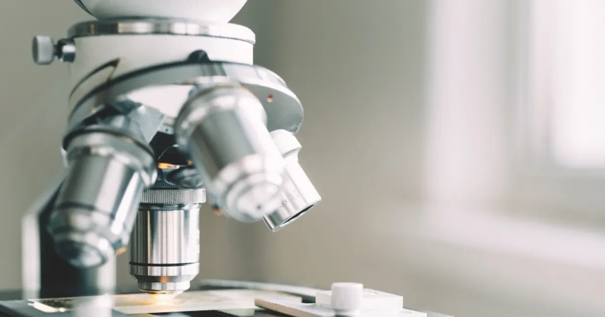 Partnership Grants – image from The Royal Society
